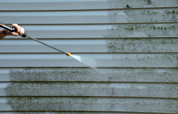 Best Dumpster Area Cleaning  in Bloomville, OH