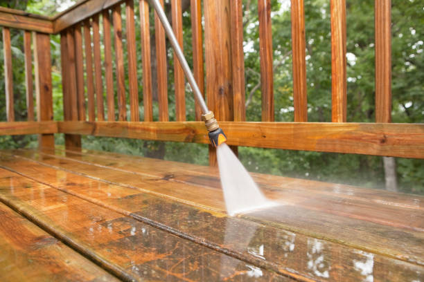 Best Pre-Holiday Cleaning  in Bloomville, OH